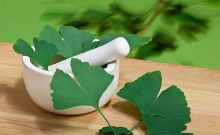 Ginkgo biloba - nem való mindenkinek, ilyen mellékhatásai lehetnek az ismert gyógynövénynek