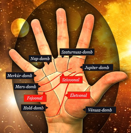 Így gyógyíthatod meg az egész tested a tenyereden keresztül!